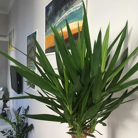 Διαμέρισμα Kings Landing *