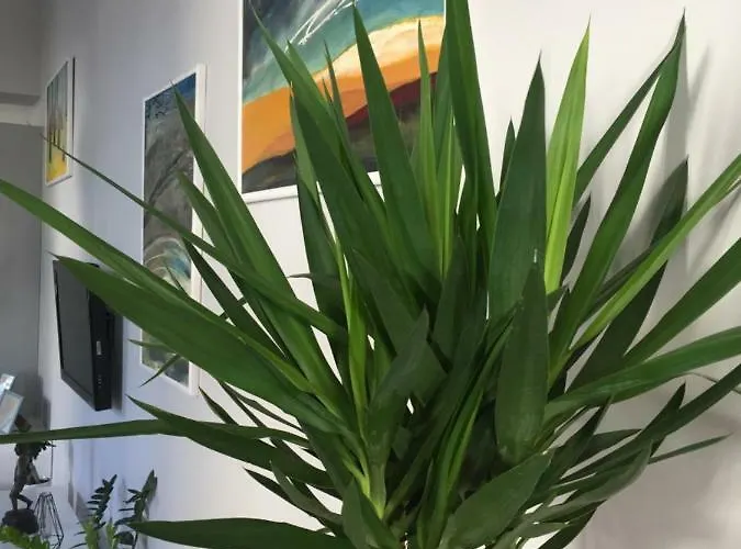 Апартаменты Kings Landing *